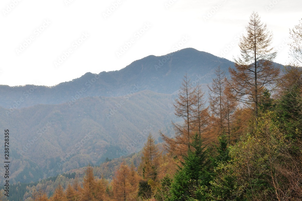 黄葉の鶏冠山より大菩薩嶺