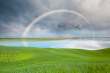 Silhouette of birds flying above the green grass field and lake with rainbow