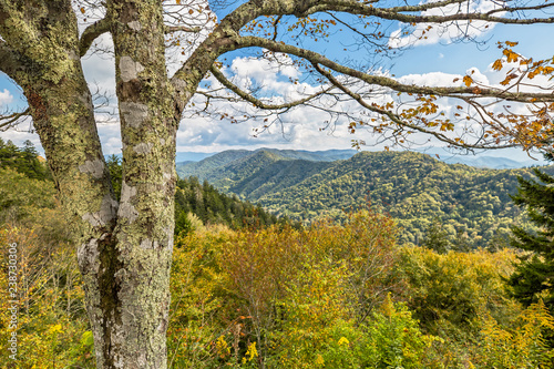 Panoramic View over the Great Smoky Mountains in Tennessee