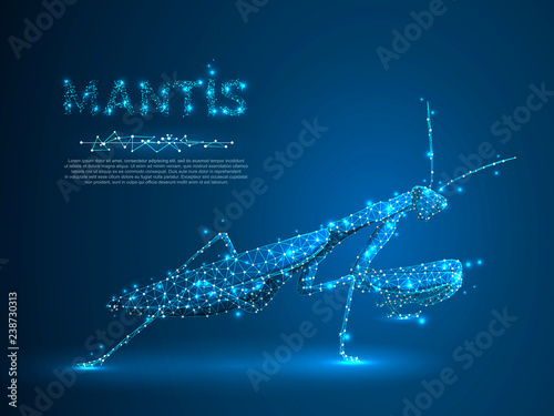 Hunting Mantis bug isolated silhouette. Polygonal space low poly illustration. Connection wireframe mesh structure. Vector on dark blue background
