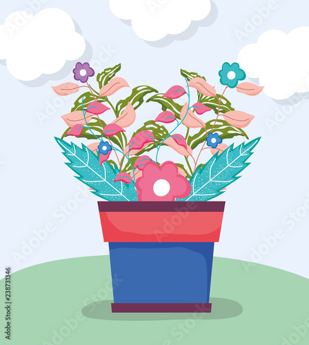 flowers and plant branches leves in the flower pot