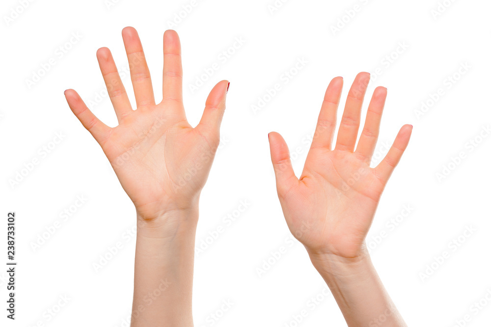 Close-up of beautiful woman's hands, palms up. Isolated on white background Close-up of beautiful woman's hands, palms up. Isolated on white background