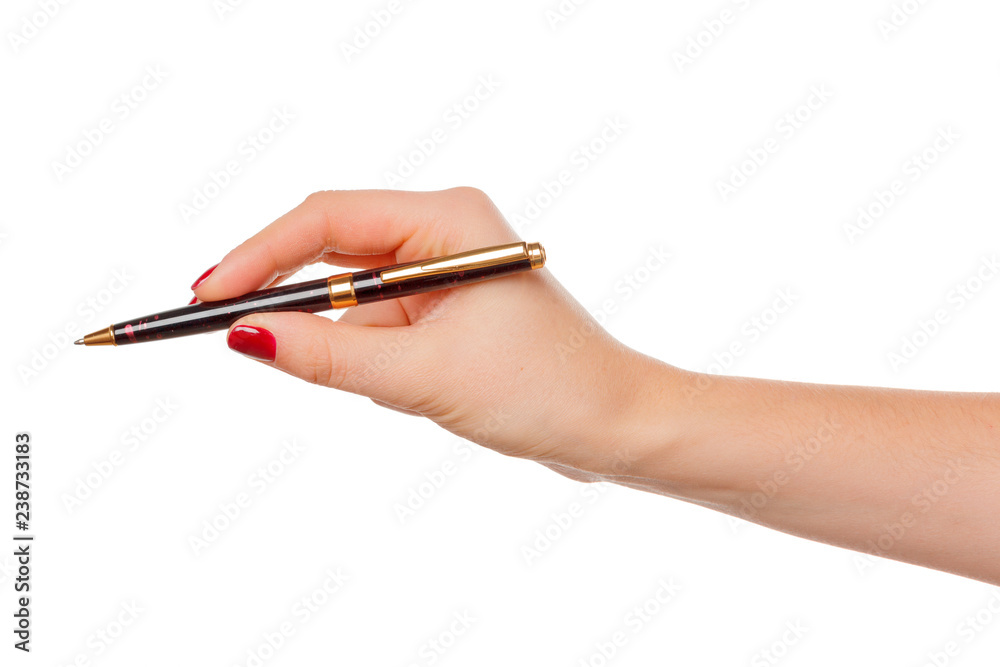 © NewFabrika - Female hand holding pencil isolated on white background © NewFabrika - Female hand holding pencil isolated on white background