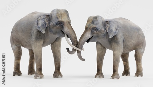 Realistic 3D Render of Asian Elephants