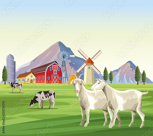 farm animals cartoons