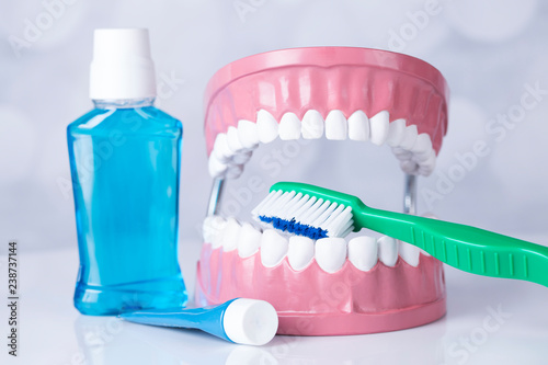 Dentist, Dental tools on a white background, Teeth and jaw.