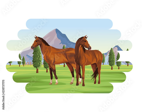Horses farm animal