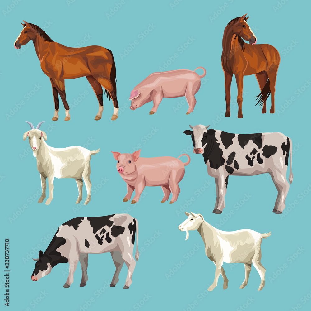 farm animals cartoons
