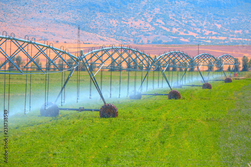 An irrigation pivot watering a field  photo