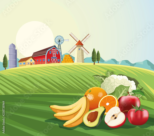 Fruits and vegetables