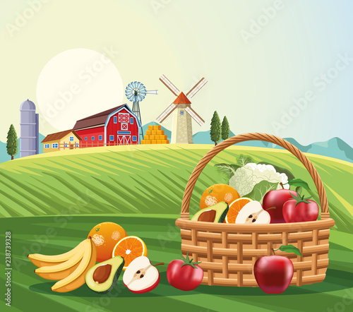 Fruits and vegetables in basket