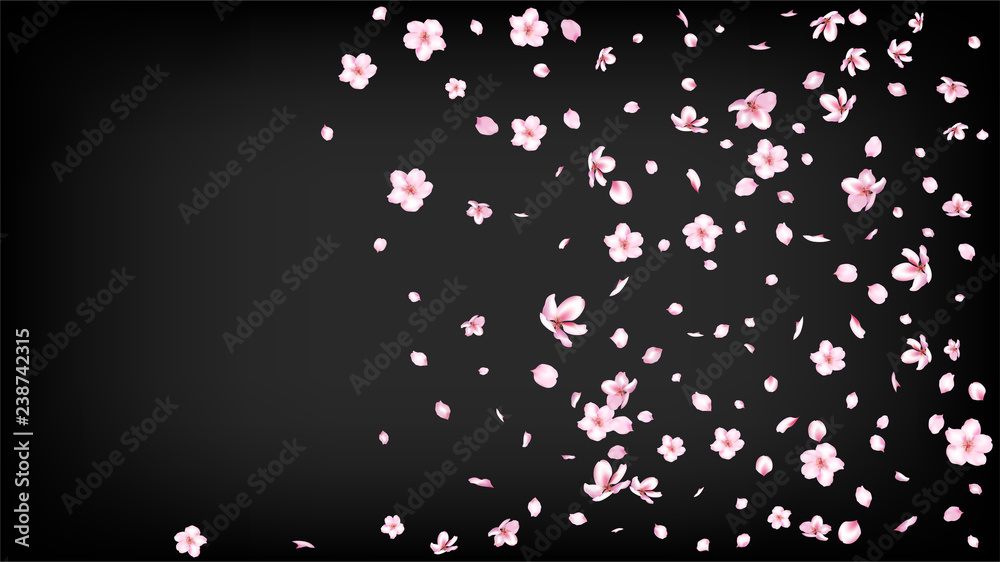 Nice Sakura Blossom Isolated Vector. Watercolor Flying 3d Petals Wedding Border. Japanese Beauty Spa Flowers Illustration. Valentine, Mother's Day Magic Nice Sakura Blossom Isolated on Black