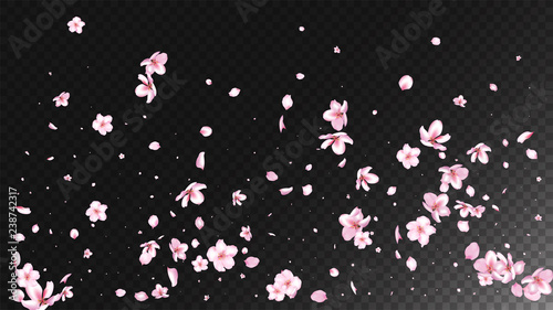 Nice Sakura Blossom Isolated Vector. Spring Showering 3d Petals Wedding Texture. Japanese Oriental Flowers Wallpaper. Valentine, Mother's Day Magic Nice Sakura Blossom Isolated on Black