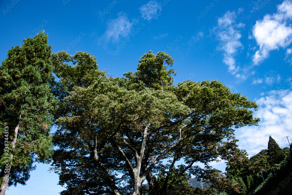 公園 公園