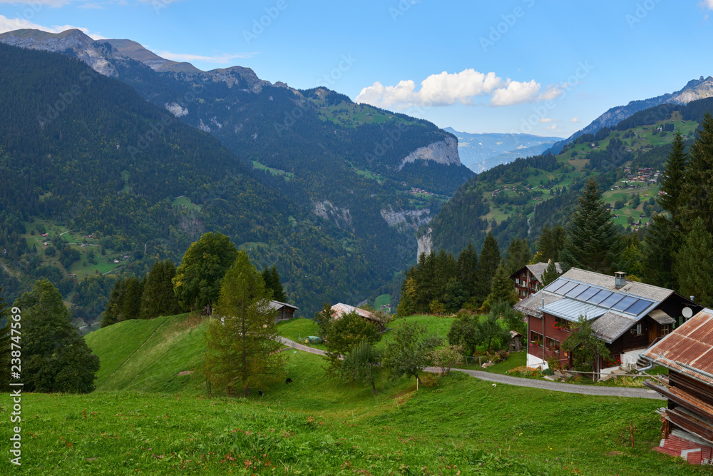 Mountain grassland near Wengen mountain village in Lauterbrunnen region in Switzerland.