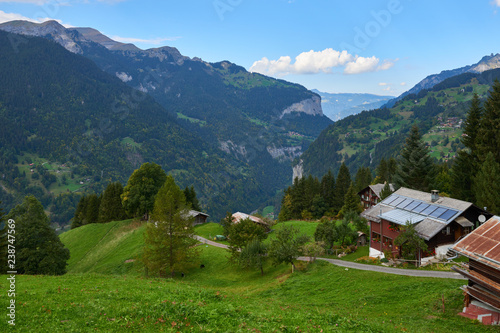 Mountain grassland near Wengen mountain village in Lauterbrunnen region in Switzerland.