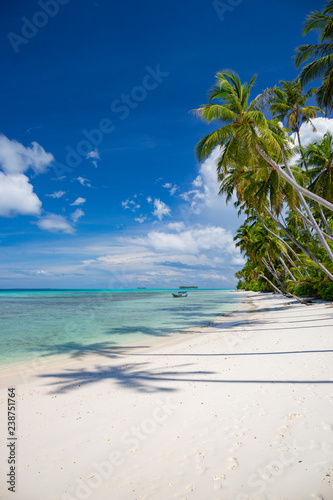 A nice and empty beach in a tropical desert island of Pulau Banyak  Sumatra  Indonesia. Blue sky  white sand and coconut trees  a dream holiday place to relax  snorkel and rest.