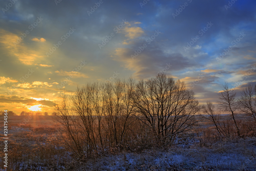 winter meadow in morning winter meadow in morning