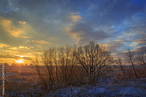 winter meadow in morning