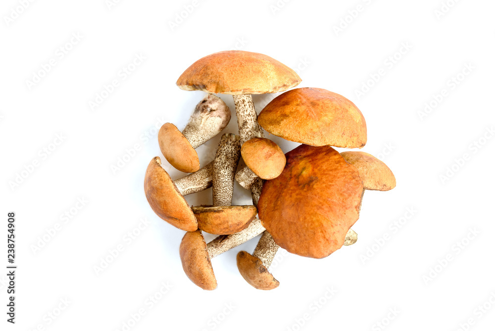 Fototapeta premium Aspen mushrooms isolated on white background