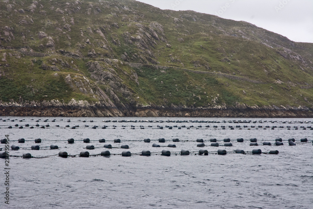 Oyster Beds