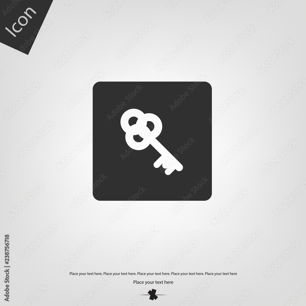 Key vector icon Key vector icon