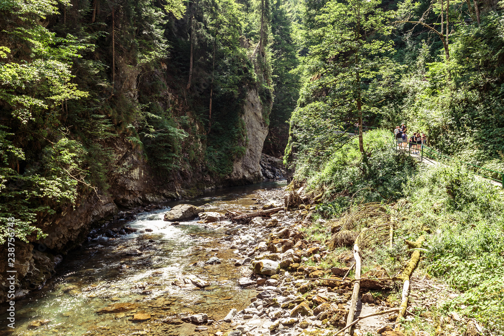 Breitachklamm im Allgäu, Bayern, Deutschland.