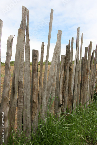 Old Fence