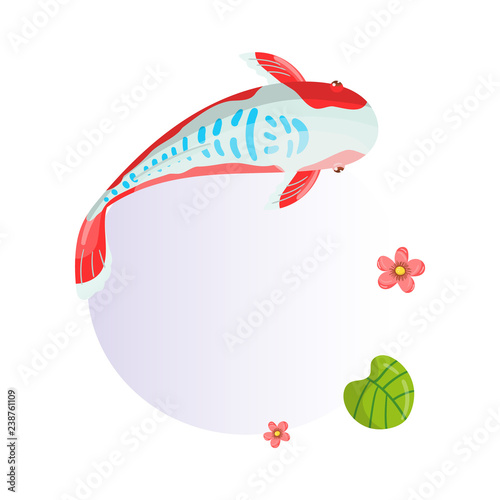 Features of Shusui Carp Koi, traditional sacred Japanese fish, element for creating your own infographic design with handwritten text, vector Illustration photo