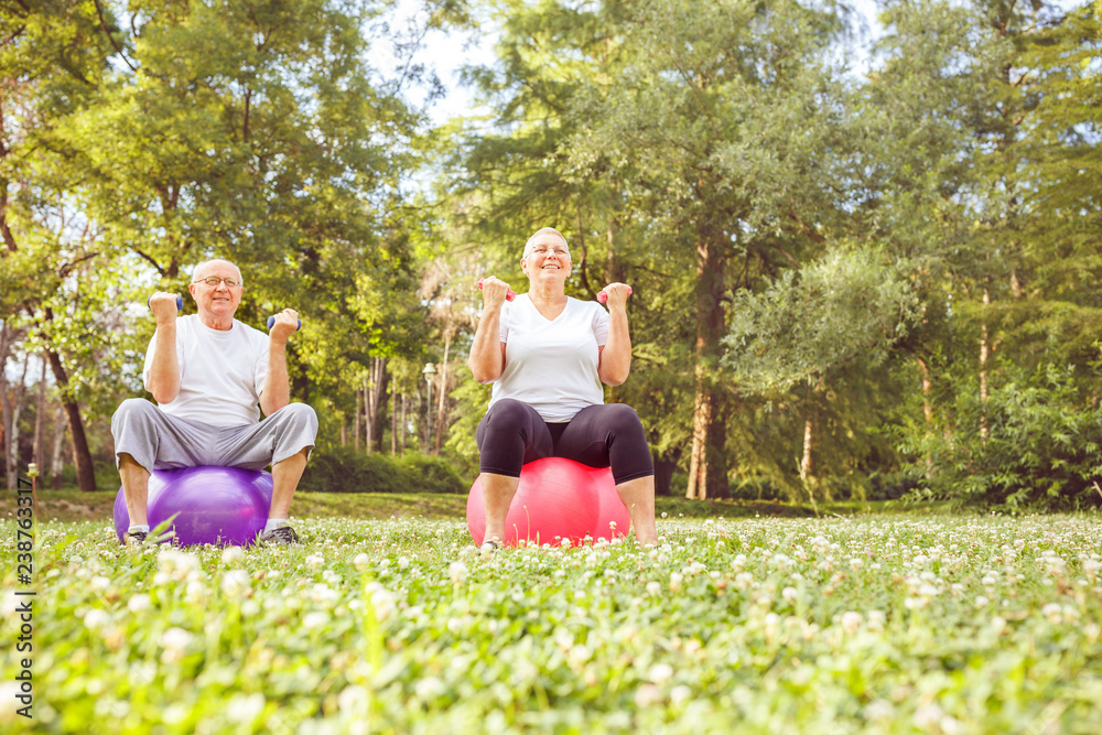 Fototapeta premium Senior exercise - Senior couple exercise together on fitness ball in park.