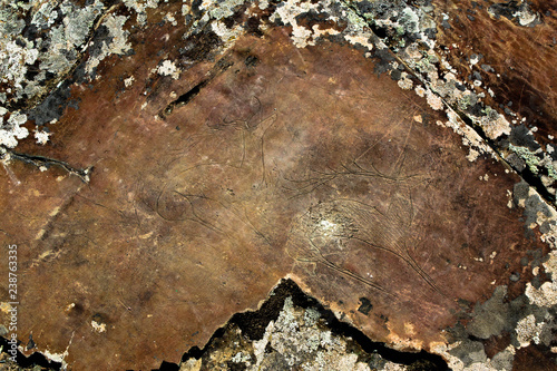 Petrogliphs in Kalbak-Tash