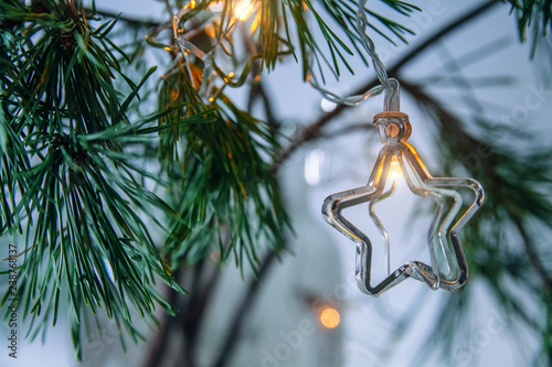 A stars shaped christmass garland on a fir branch