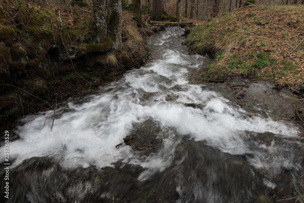 Naklejka premium Bach