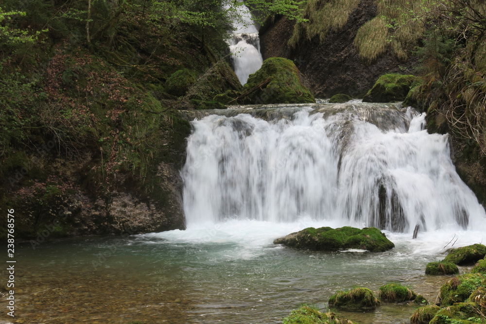 Fototapeta premium Wildbach