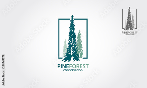 Vector illustration of pines tree. It's good for forest conservation logo - Vector 