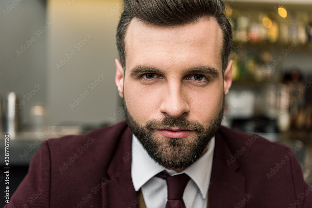 portrait of handsome focused businessman in formal wear looking at camera portrait of handsome focused businessman in formal wear looking at camera