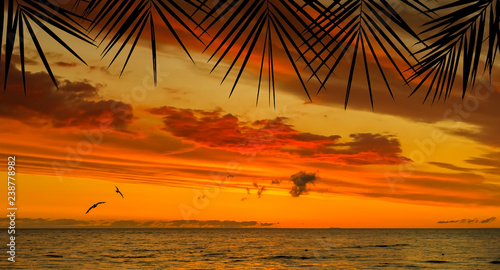 Ocean tropical sunset seen through silhouettes of palm branches