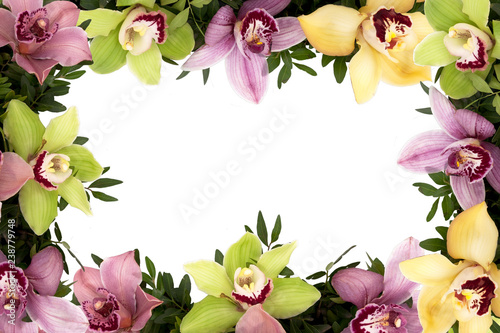 Background, beautiful, beauty, bloom, blossom, bouquet, closeup, color, flora, floral, flower, fresh, garden, green, leaf, love, natural, nature, pink, plant, red, romance, rose, roses, spirit, spring