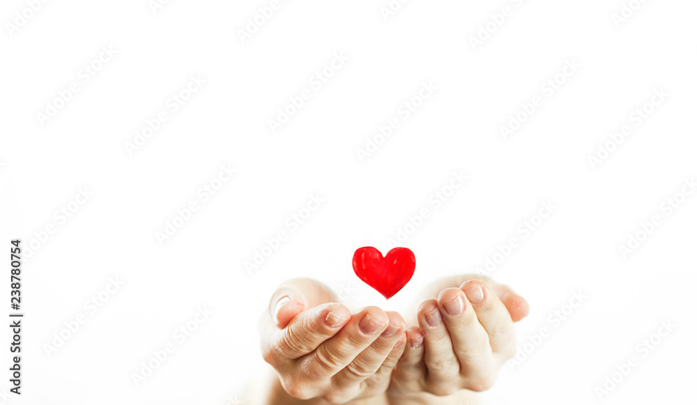 Fototapeta premium Hands of a girl holding a red heart on a white isolated background. lovers day.