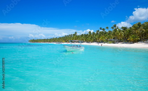 tropical island in caribien