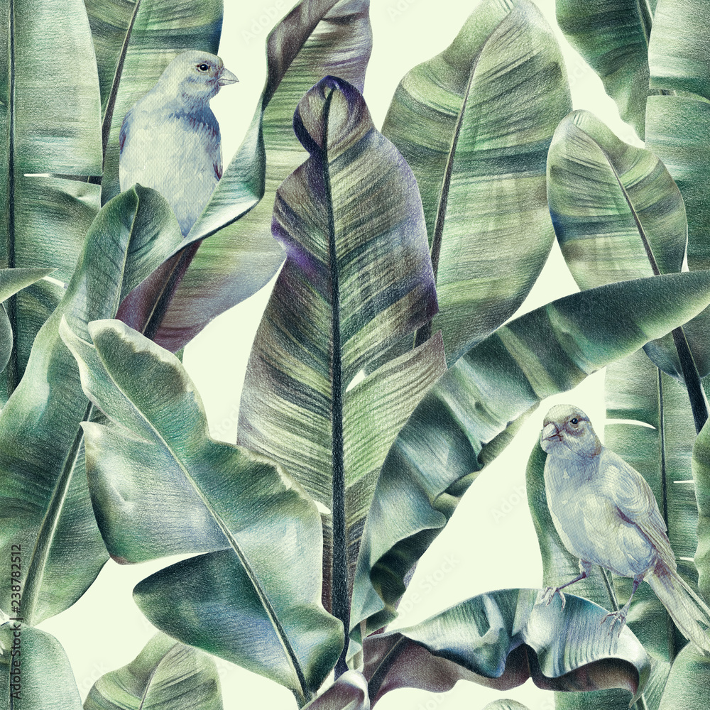 Fototapeta Bezszwowy wzór z bananowymi liśćmi i egzotycznymi ptakami na delikatnym beżowym tle. Tropikalne tło w przyciemnianych kolorach zielonym dla tkanin, tapet, tkanin. Ilustracja z barwionymi ołówkami.
