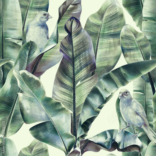 Fototapeta Bezszwowy wzór z bananowymi liśćmi i egzotycznymi ptakami na delikatnym beżowym tle. Tropikalne tło w przyciemnianych kolorach zielonym dla tkanin, tapet, tkanin. Ilustracja z barwionymi ołówkami.