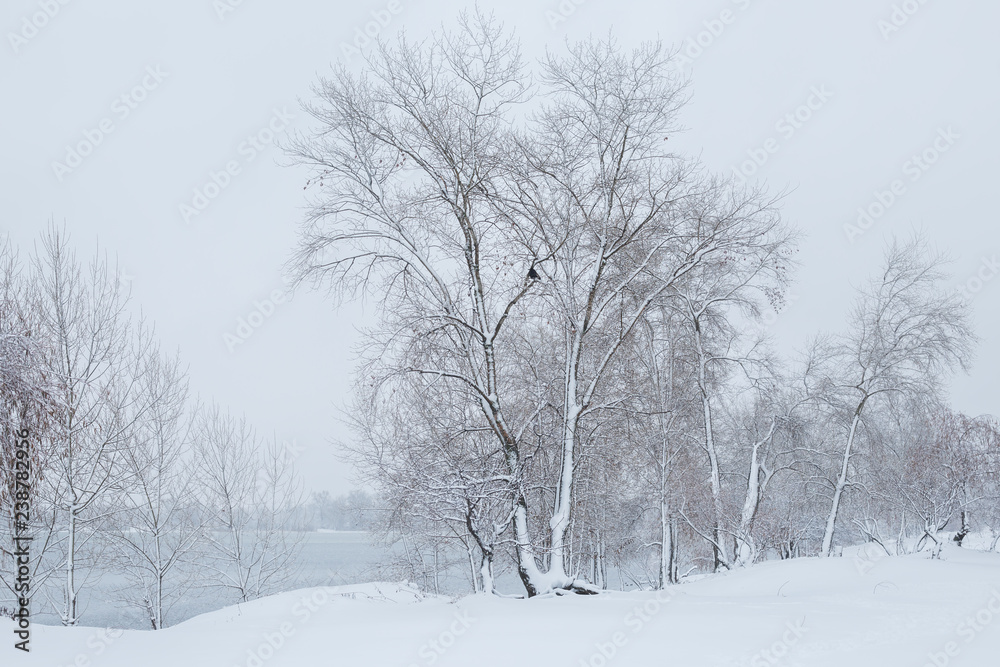 Fototapeta premium winter landscape