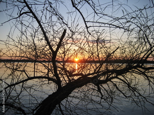 Tree Sunset River Landscape