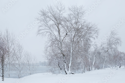 winter landscape © martina87