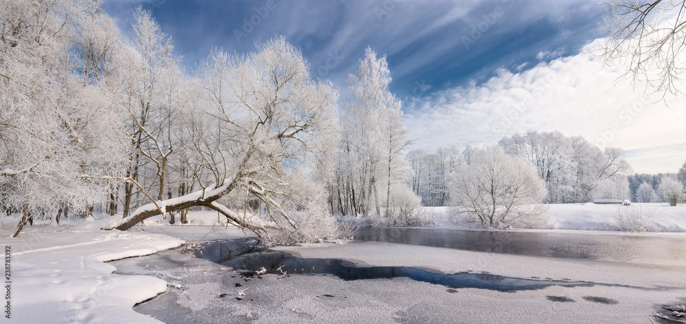 Winter Lace: Realistic Panoramic Christmas Landscape In White Tones With Icy River, Surrounded By Whitetail Trees And Deep Blue Sky. Landscape With Frosty Forest, Beautiful Frozen River And Glade