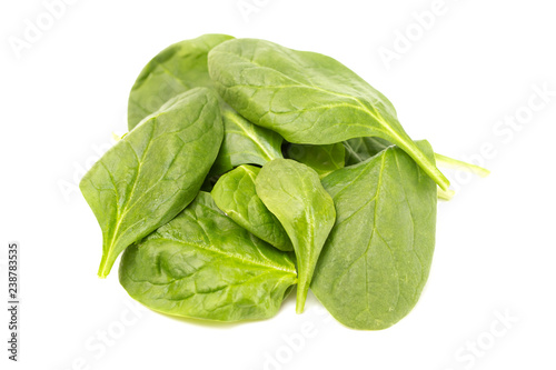 Pile of Spinach Leaves on a White Background