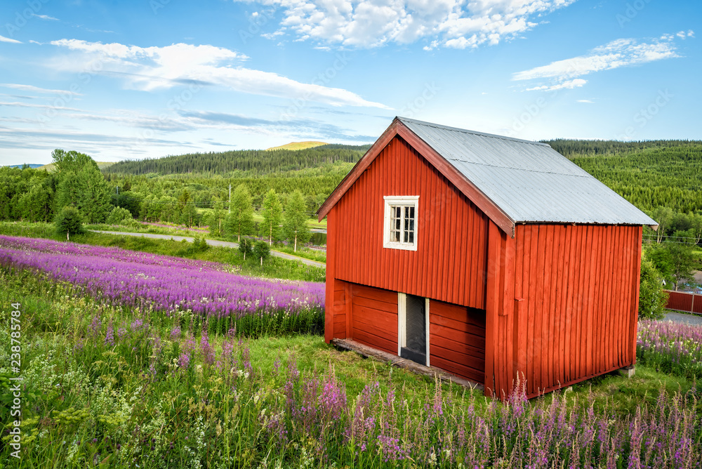 Obraz premium Typical red shed in Swedish hills