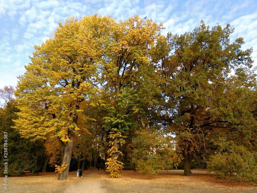 Naklejka premium Herbst im Park