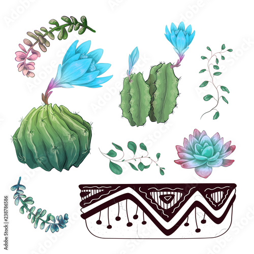 Potted cacti and succulents plants badge collection set.